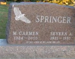 M. Carmen Springer M. Carmen Springer
