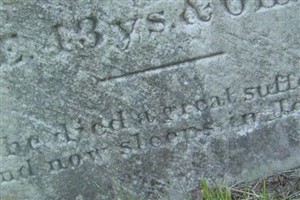 M. Elizabeth Wilcox