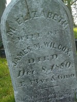 M. Elizabeth Wilcox