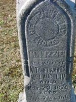 M. Lizzie McLaughlin