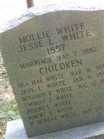 M. Modene White M. Modene White