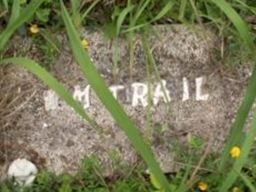 M Trail