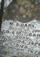 M A Carr