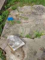 M. A. Jarrell
