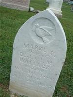 Mabel E. Wallace