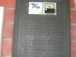 Mabel Spink