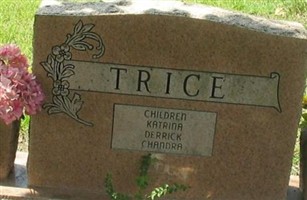 Mable Louise Walker Trice