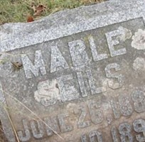 Mable Seils