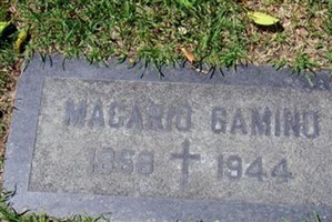 Macario Gamino Macario Gamino