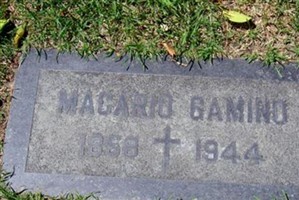 Macario Gamino