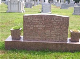 Madeline T Belfi
