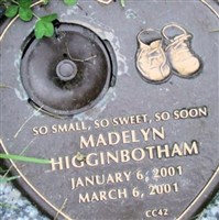 Madelyn Higginbotham Madelyn Higginbotham