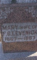 Madelyn L Levenick