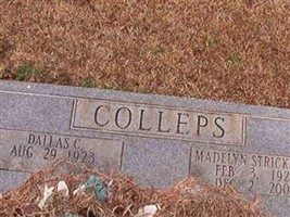Madelyn Strickland Colleps