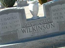 Madonna A. Wilkinson