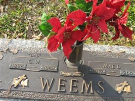 Mae D. Weems (2271672.jpg) Mae D. Weems (2271672.jpg)