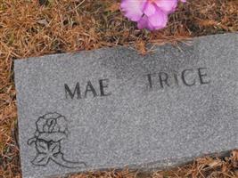 Mae Trice