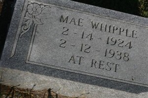 Mae Whipple
