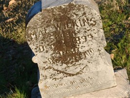 Mae Wilkins Mae Wilkins