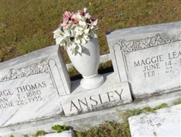 Maggie Leavins Ansley