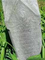 Maggie M. Chambers