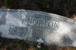 maggie williams norton maggie williams norton
