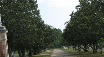 Magnolia Cemetery Magnolia Cemetery