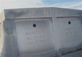 Magnolia Couch Johns Magnolia Couch Johns
