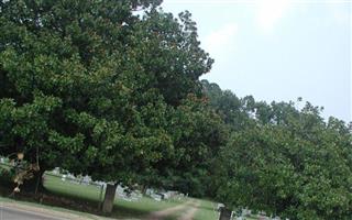 Magnolia Gardens Cemetery
