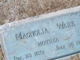 Magnolia Ware