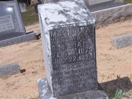 Magnolia Webb Adams