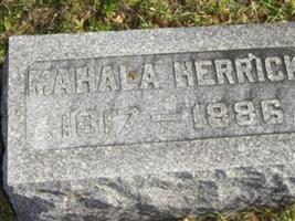 Mahala Herrick