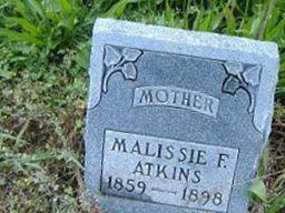 Malissa Frances Brizendine Atkins