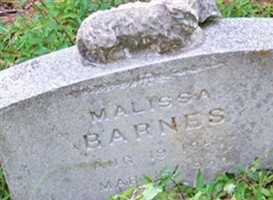 Malissa "Lissie, Grandma Lis" Barnes McMillan