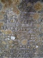 Mamie A. Edgin