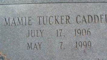 Mamie Ellen Collins Caddell