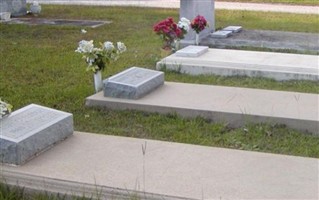 Mamie Gulledge