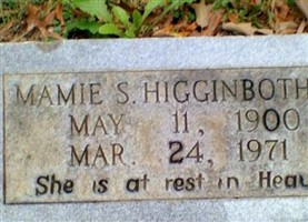 Mamie S Higginbotham