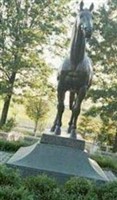 Man O' War Man O' War