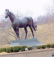 Man O' War Man O' War