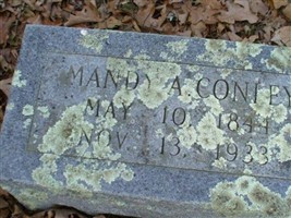 Mandy A Conley