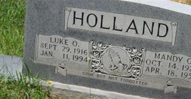 Mandy O Holland Mandy O Holland