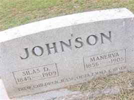 Manerva Johnson