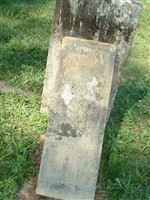 Manerva Moss