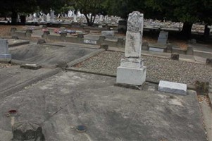 Manoel A. Faustino Manoel A. Faustino