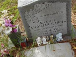 Manuel Andujar-Garcia