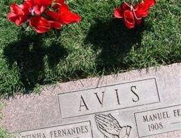 Manuel Fernandes Avis Manuel Fernandes Avis