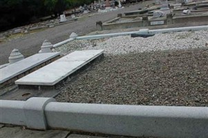 Manuel J. Silva Manuel J. Silva