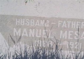 Manuel Mesa