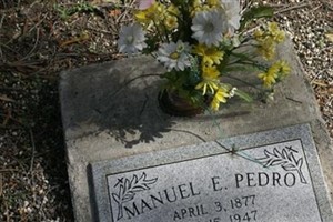 Manuel Pedro
